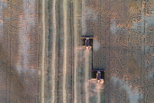 Экспорт российского зерна в марте может стать вторым по объемам в истории страны