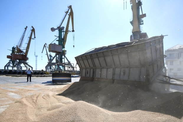 Минсельхоз скорректирует экспортную пошлину на зерно